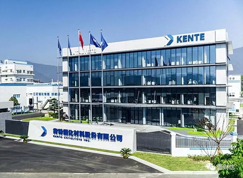 肯特催化戰略失衡 重銷售管理輕研發，技術開發人員薪酬雙標引關注