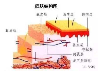 揭開角質的神秘面紗 去角質會讓皮膚變薄嗎？
